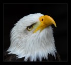 Erhobener Blick  © 2025 René Göke